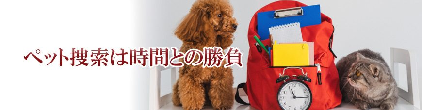 【富士市　探偵】子ども見守り調査｜富士市で子ども見守り調査で探偵をお探しならスマイルエージェント富士にお任せください。