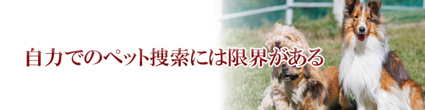 【富士市　探偵】子ども見守り調査｜富士市で子ども見守り調査で探偵をお探しならスマイルエージェント富士にお任せください。