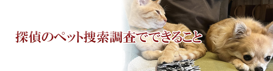 【富士市　探偵】子ども見守り調査｜富士市で子ども見守り調査で探偵をお探しならスマイルエージェント富士にお任せください。